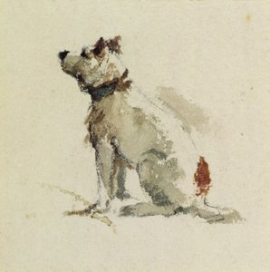 Een Terrier, zittend naar links